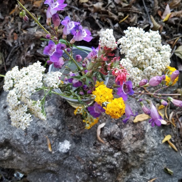 Meet your Posher, Lolo - Picture 1 of 1